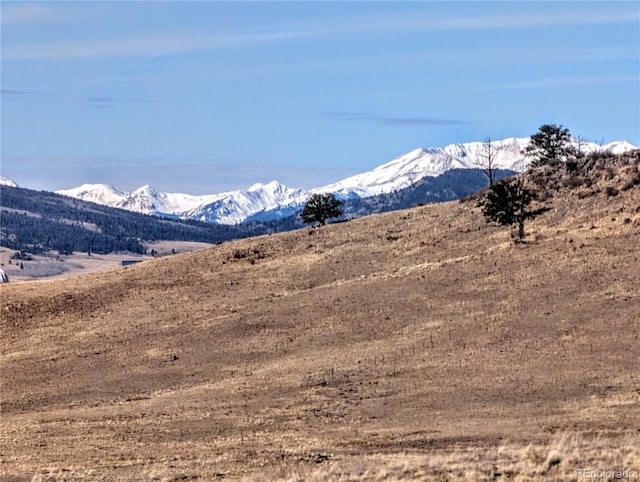 3329 Chimapavi Trl, Hartsel, CO 80449 - photo 4