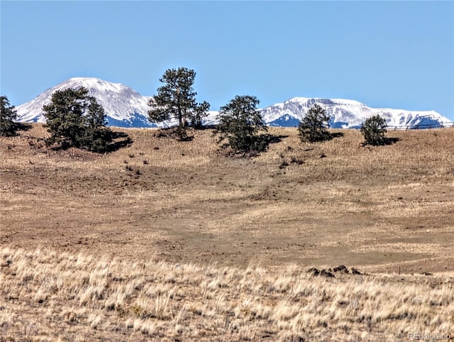 3329 Chimapavi Trl, Hartsel, CO 80449 - photo 6