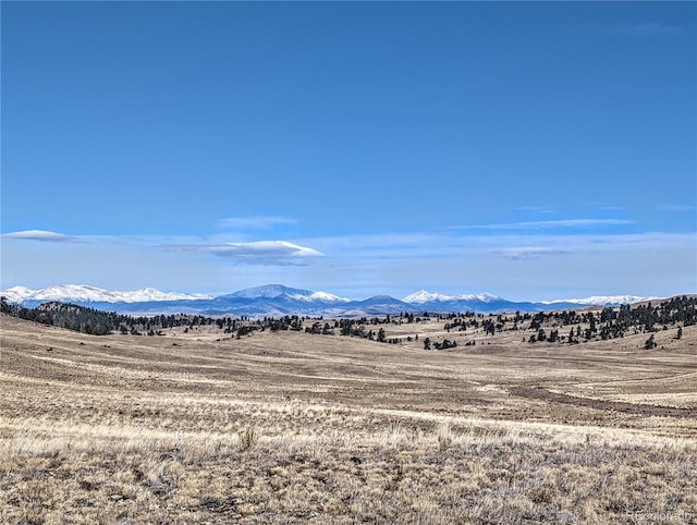 3329 Chimapavi Trl, Hartsel, CO 80449 - photo 13