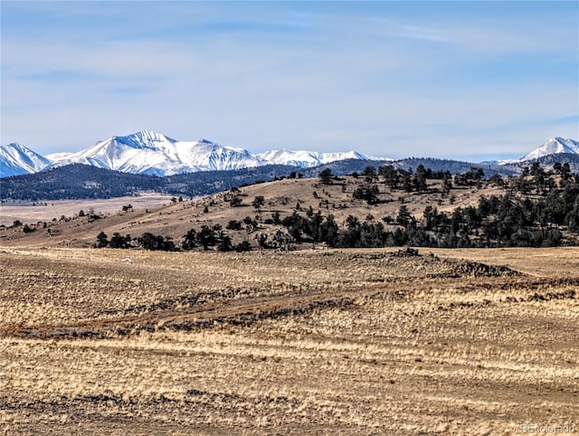 3329 Chimapavi Trl, Hartsel, CO 80449 - photo 17