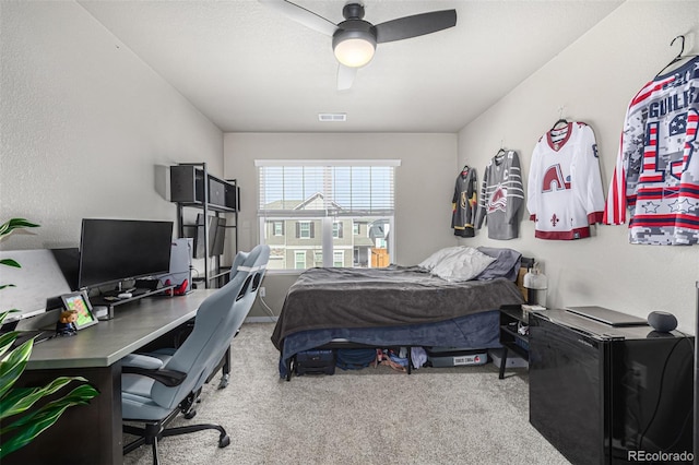 4522 Barrow Ln, Timnath, CO 80547 - photo 27