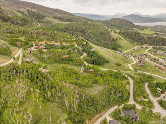 990 Lakeview Cir, Silverthorne CO, 80498 land for sale