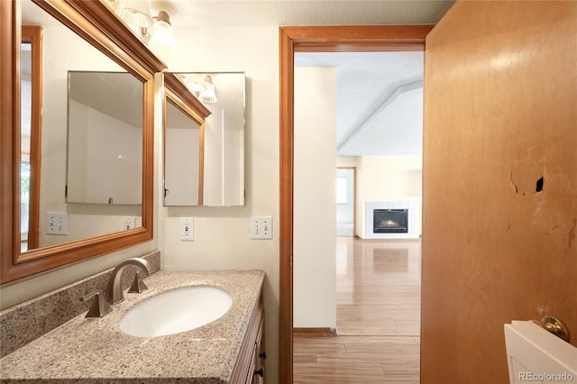 8879 Apache Plume Dr, Parker, CO 80134 - bathroom with vanity, wood finished floors, and a tile fireplace