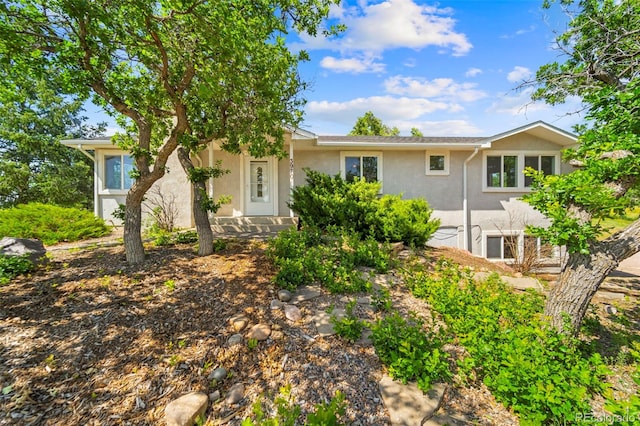 3970 Old Ranch Rd, Colorado Springs, CO 80908 - photo 17