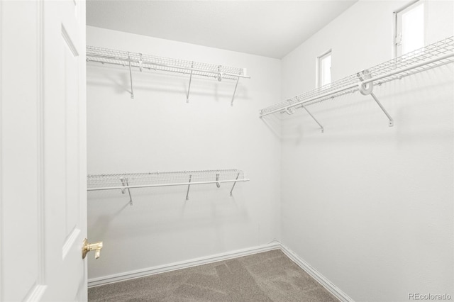 3970 Old Ranch Rd, Colorado Springs, CO 80908 - photo 40