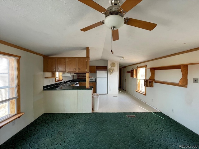 kitchen with kitchen peninsula, white appliances, vaulted ceiling, and a wealth of natural light