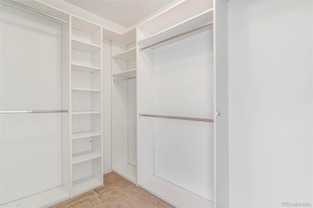 72 S Nome St, Aurora, CO 80012 - walk in closet featuring light carpet