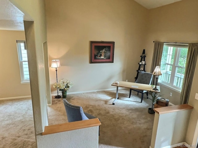 13313 Elizabeth St, Thornton, CO 80241 - carpeted office featuring baseboards