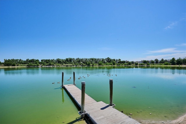 888 S Valentia St Unit 20-101, Denver, CO 80247 - dock with a water view