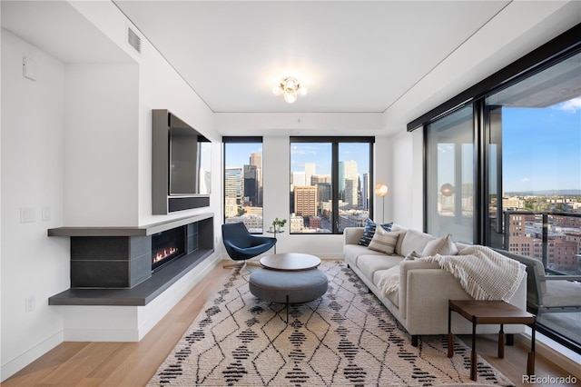 1750 Wewatta St Unit 1720, Denver, CO 80202 - living area with wood finished floors, baseboards, and a glass covered fireplace