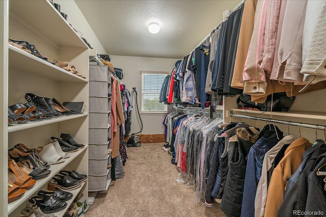spacious closet featuring light colored carpet