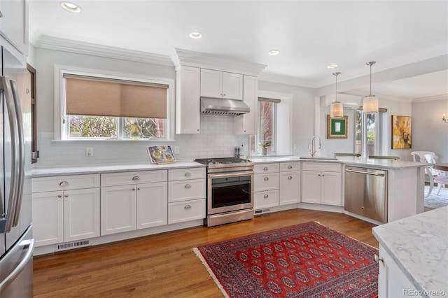 kitchen with under cabinet range hood, plenty of natural light, stainless steel appliances, and visible vents