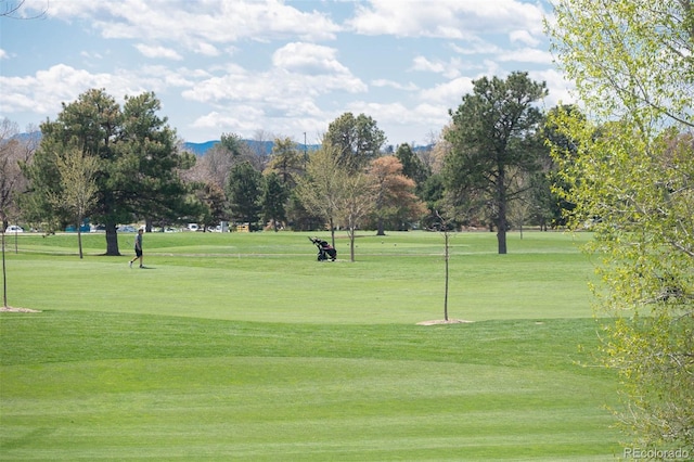 view of property's community with a mountain view, a yard, and view of golf course
