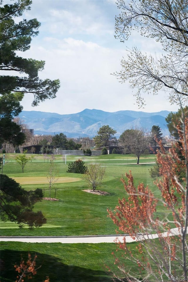mountain view