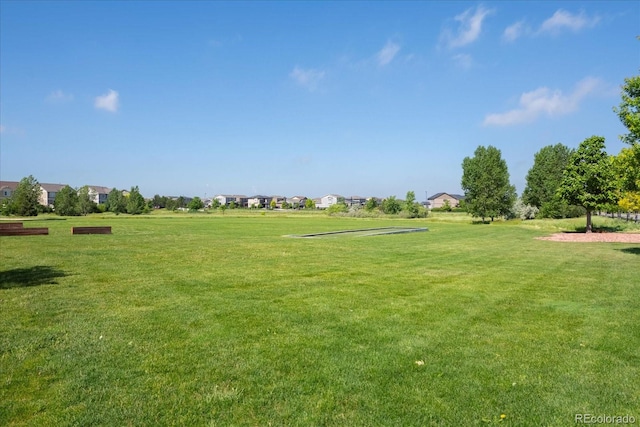 view of community with a yard