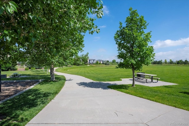 view of community with a yard