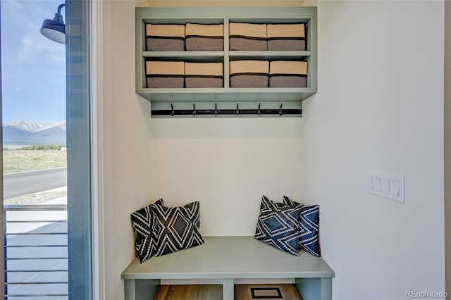 717 Marquette Ave, Buena Vista, CO 81211 - view of mudroom
