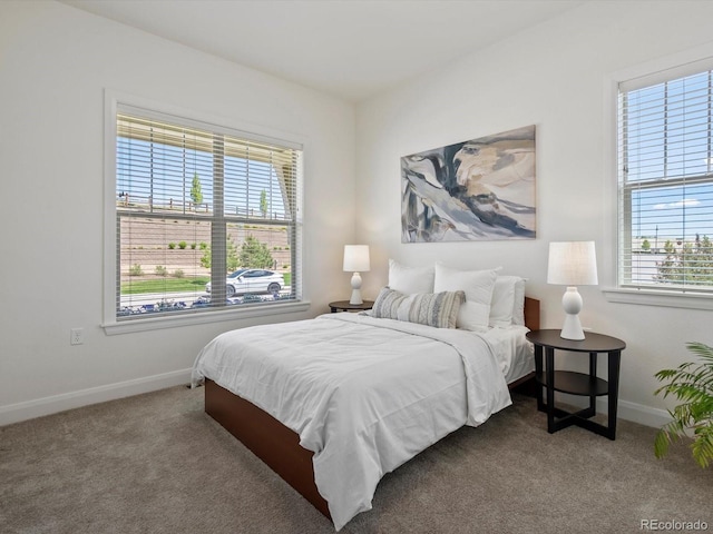 10258 W Coal Mine Pl, Littleton, CO 80127 - carpeted bedroom with baseboards