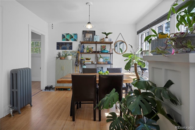 dining area featuring radiator heating unit, light hardwood / wood-style flooring, and a healthy amount of sunlight