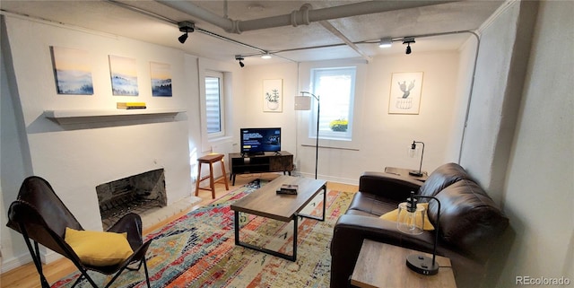 living room with rail lighting and light hardwood / wood-style floors