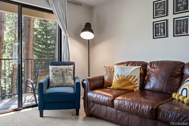 124 Gcr 702 Unit 204, Granby, CO 80446 - photo 5