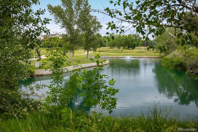 2933 W 81st Ave Unit F, Westminster, CO 80031 - water view