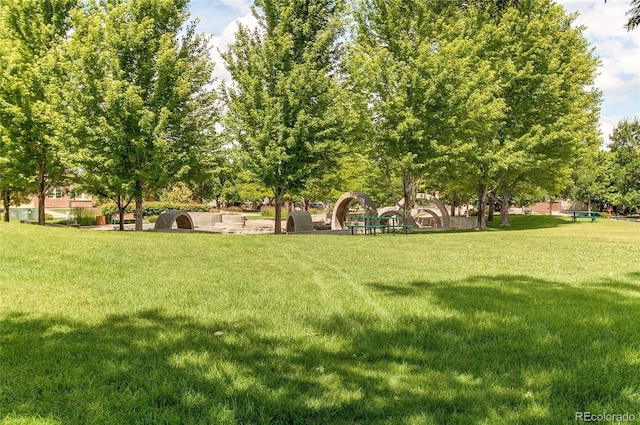 13241 Heart Lake Way, Broomfield, CO 80020 - view of grassy yard