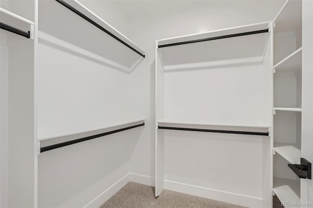 spacious closet with light colored carpet