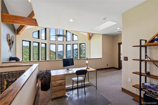 1194 Snyder Mountain Rd, Evergreen, CO 80439 - carpeted office space featuring a skylight and recessed lighting