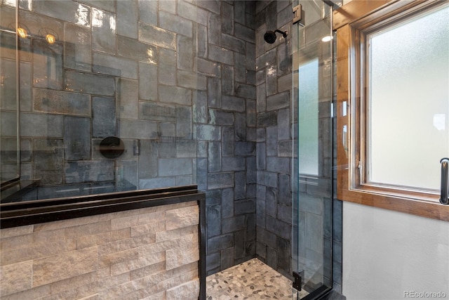 1194 Snyder Mountain Rd, Evergreen, CO 80439 - full bath with a stall shower