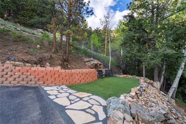 1194 Snyder Mountain Rd, Evergreen, CO 80439 - view of grassy yard with a wooded view