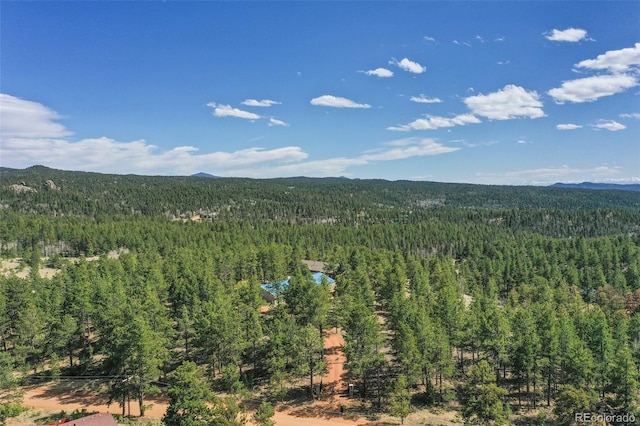 2754 County Rd 421, Florissant, CO 80816 - mountain view featuring a heavily wooded area
