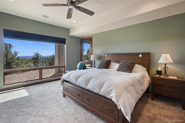 2754 County Rd 421, Florissant, CO 80816 - bedroom with carpet floors, recessed lighting, and ceiling fan