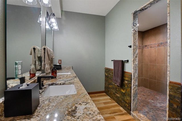 2754 County Rd 421, Florissant, CO 80816 - bathroom featuring wood finished floors, double vanity, and a walk in shower