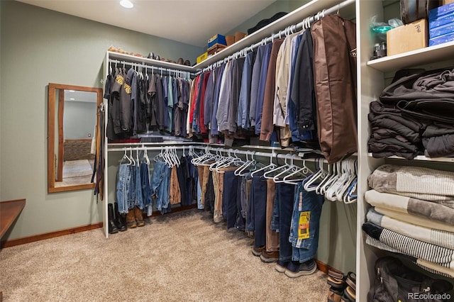 2754 County Rd 421, Florissant, CO 80816 - spacious closet with carpet flooring