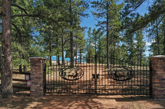 2754 County Rd 421, Florissant, CO 80816 - view of gate