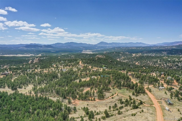 2754 County Rd 421, Florissant, CO 80816 - mountain view