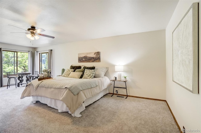 205 Pauma Valley Dr, Colorado Springs, CO 80921 - photo 19