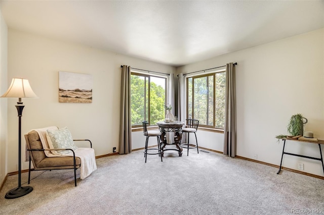 205 Pauma Valley Dr, Colorado Springs, CO 80921 - photo 21