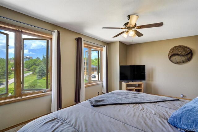 205 Pauma Valley Dr, Colorado Springs, CO 80921 - photo 28
