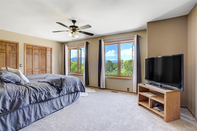 205 Pauma Valley Dr, Colorado Springs, CO 80921 - photo 39