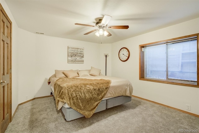 205 Pauma Valley Dr, Colorado Springs, CO 80921 - photo 41