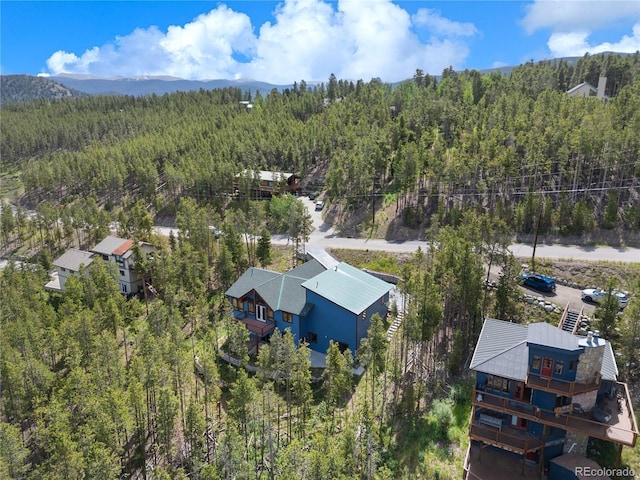 121 Shekel Ln, Breckenridge, CO 80424 - photo 36