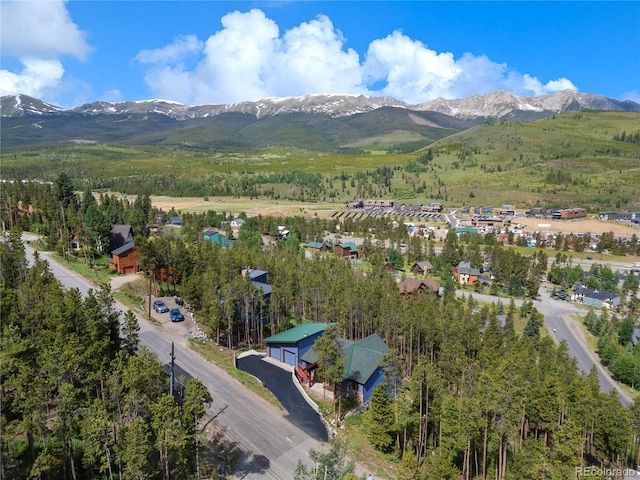 121 Shekel Ln, Breckenridge, CO 80424 - photo 37