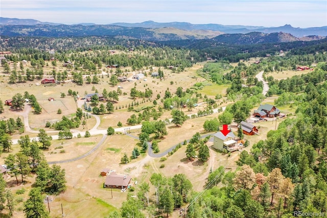 576 Bluebird Ln, Bailey, CO 80421 - photo 39