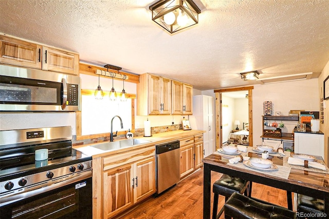 576 Bluebird Ln, Bailey, CO 80421 - photo 31