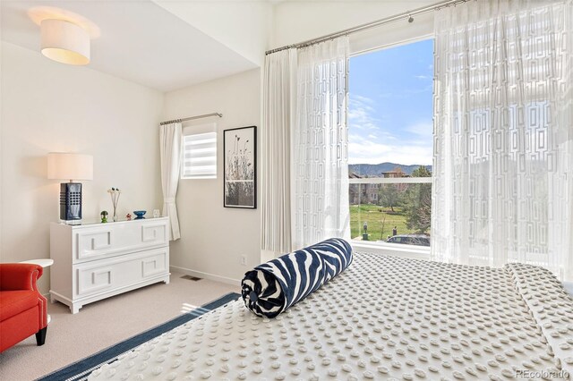 4150 Longview Ln, Boulder, CO 80301 - bedroom with carpet flooring, a mountain view, and baseboards