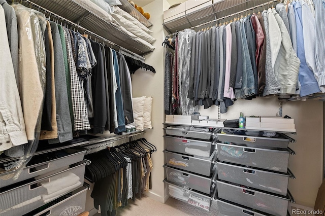 4150 Longview Ln, Boulder, CO 80301 - walk in closet featuring carpet