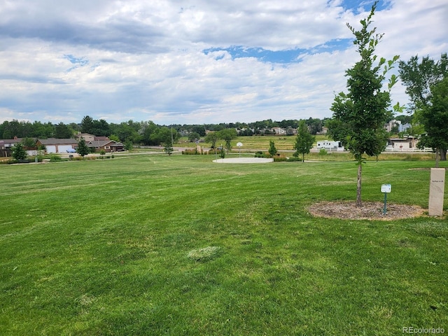 6714 Gray Ct, Arvada, CO 80003 - photo 35