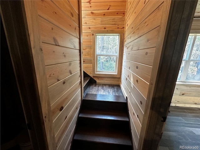 stairway with wooden walls and wood finished floors